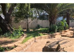 Explore the Benoni Neighbourhood