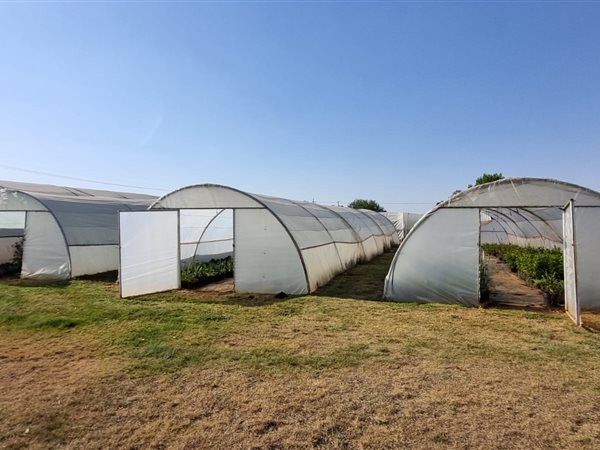 2.9 ha Commercial Farm