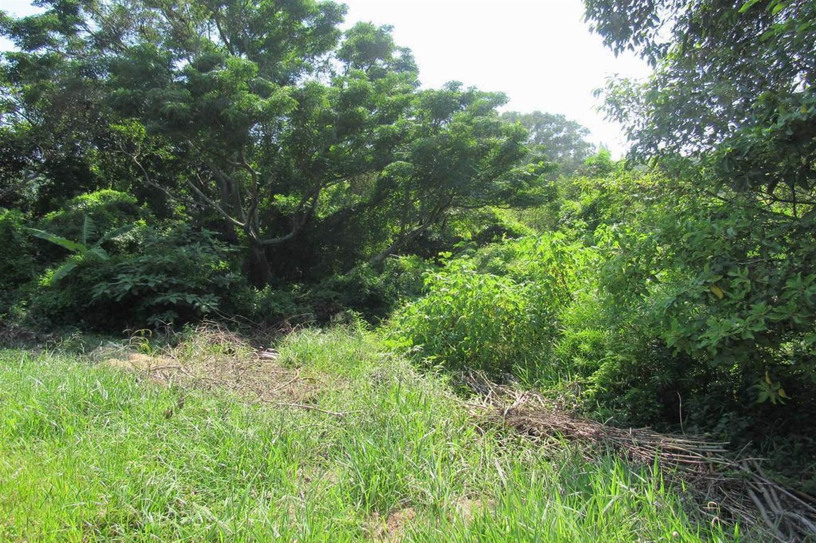 9.8 ha Land available in Doon Heights photo number 4