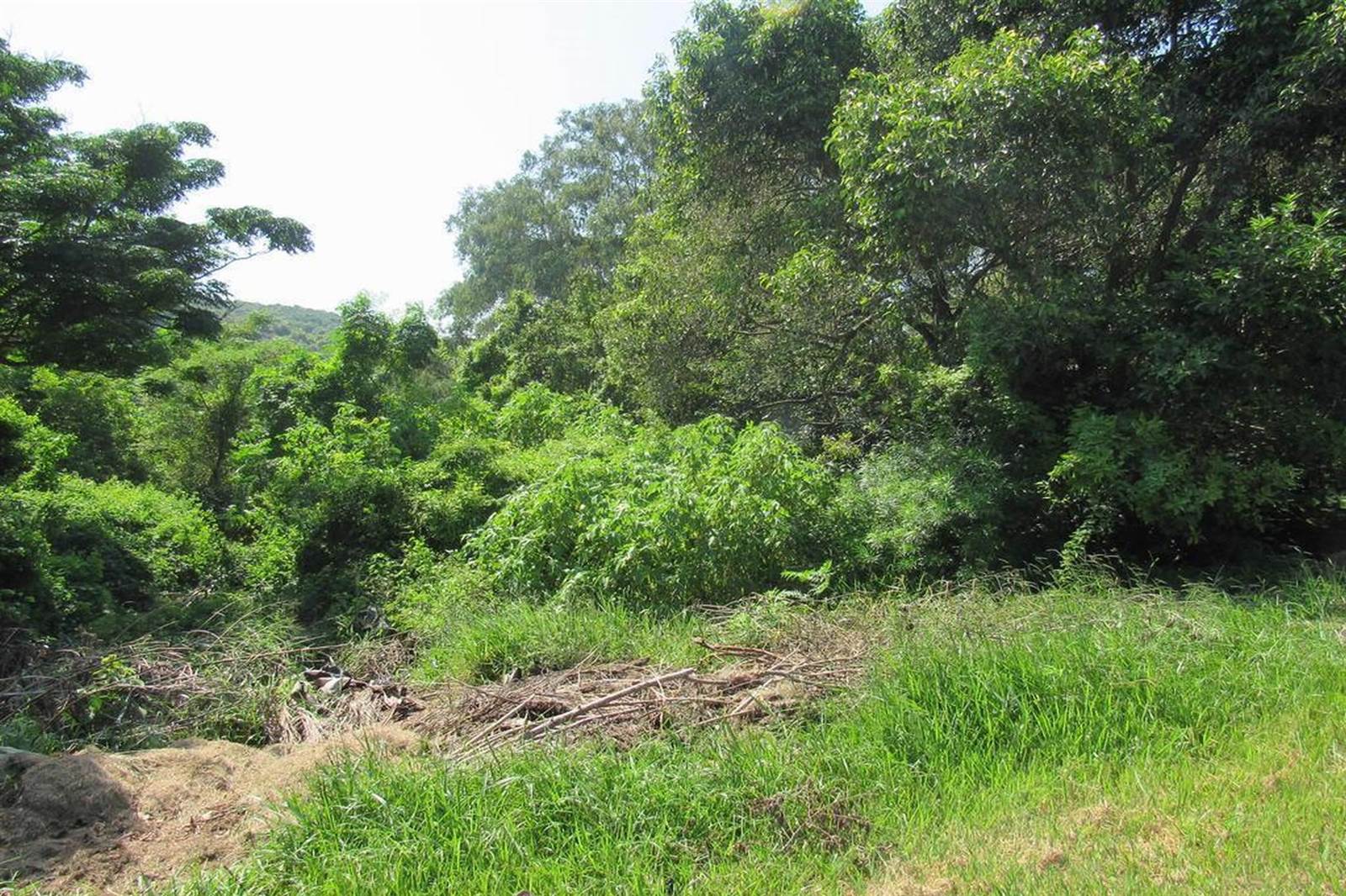 9.8 ha Land available in Doon Heights photo number 1