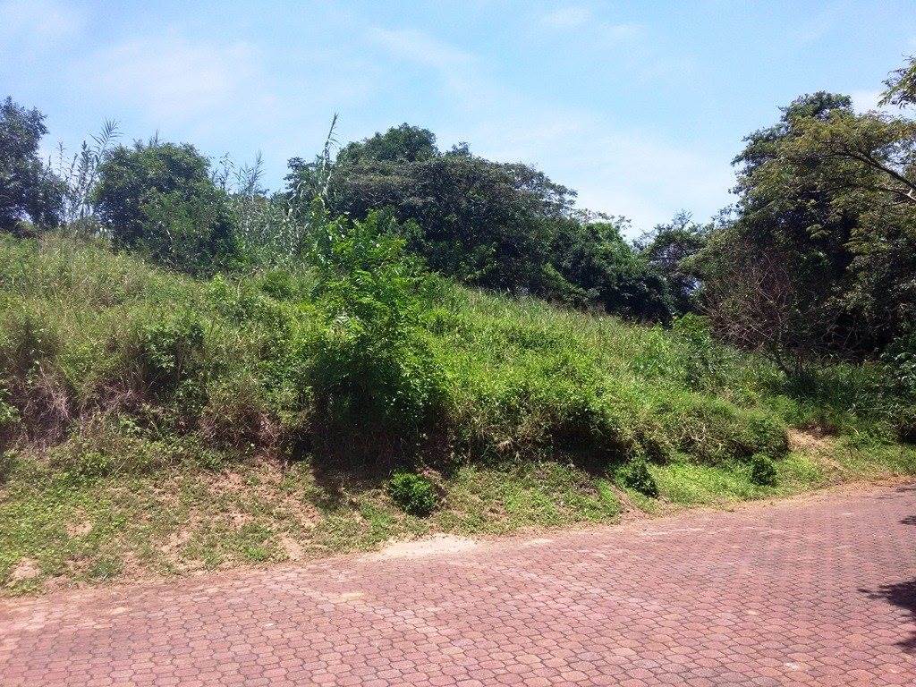 692 m² Land available in Pennington photo number 12
