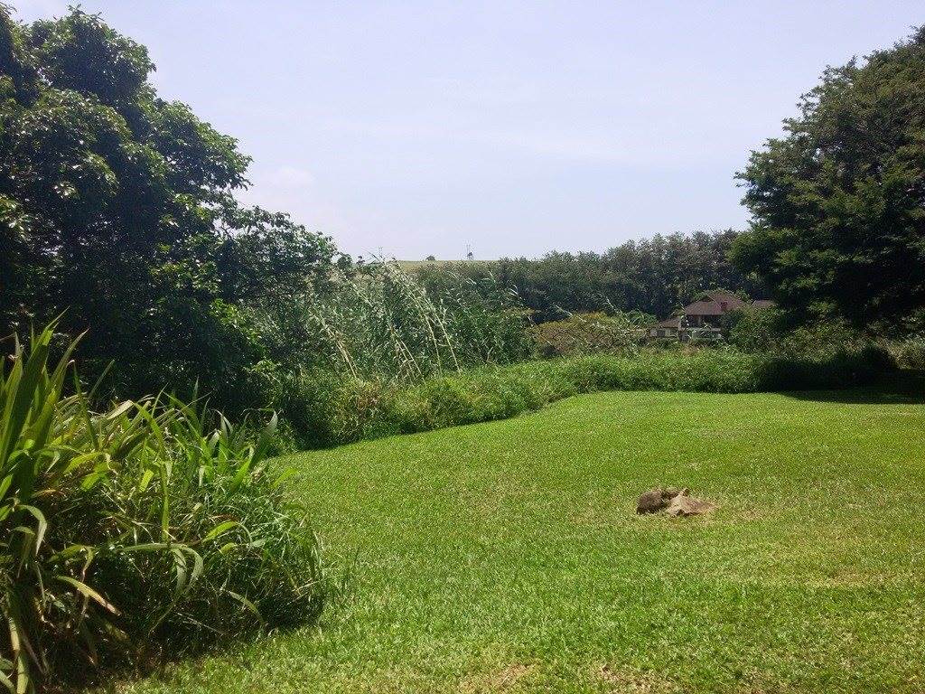692 m² Land available in Pennington photo number 1