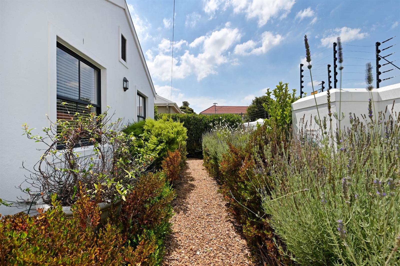 3 Bed House in Wynberg Upper photo number 5