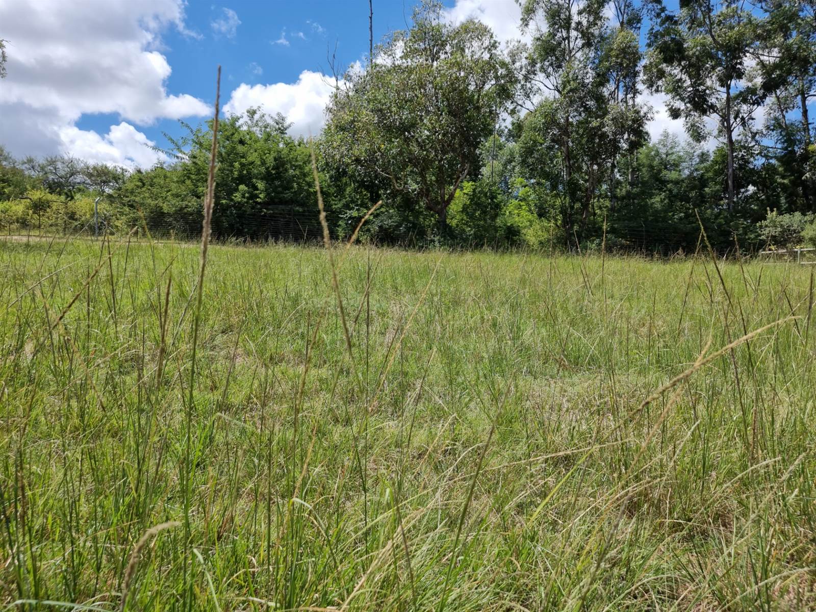 922 m² Land available in Wild Fig Estate photo number 9