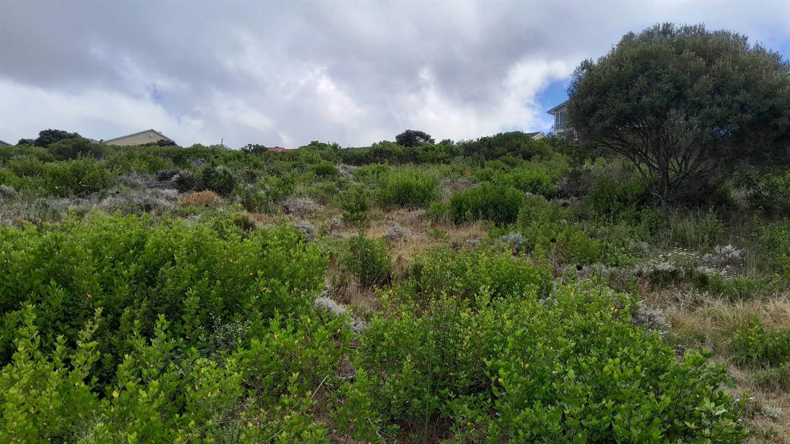 1020 m² Land available in Dana Bay photo number 10