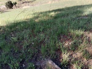 898 m² Land available in Edendale