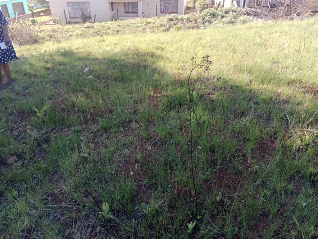 898 m² Land available in Edendale photo number 5