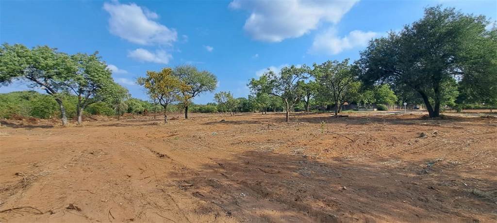1207 m² Land available in Phalaborwa photo number 6