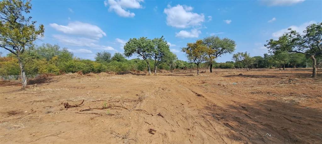 1207 m² Land available in Phalaborwa photo number 2