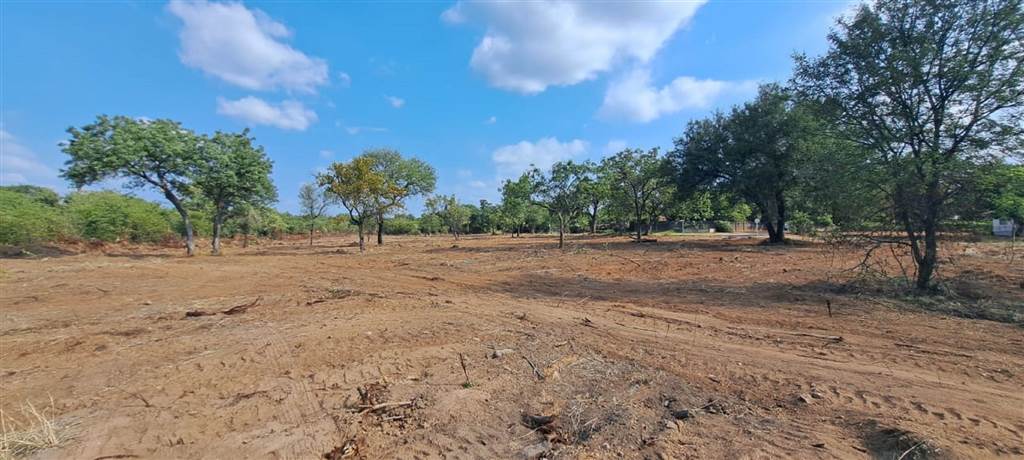 1207 m² Land available in Phalaborwa photo number 3