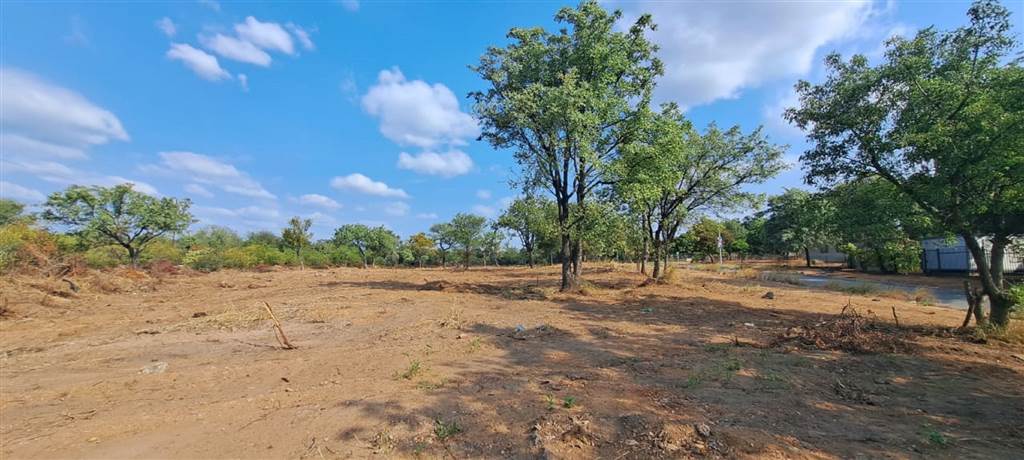 1207 m² Land available in Phalaborwa photo number 5