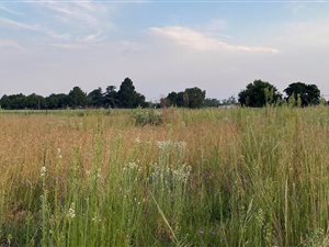 260 m² Land available in Golden Gardens