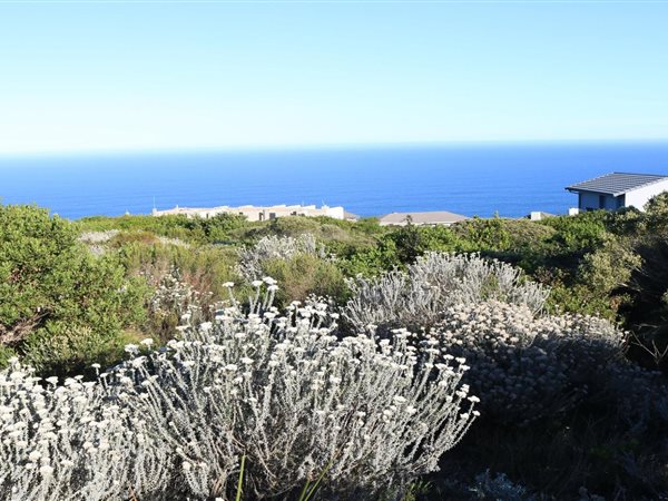 1441 m² Land available in Pinnacle Point Golf Estate