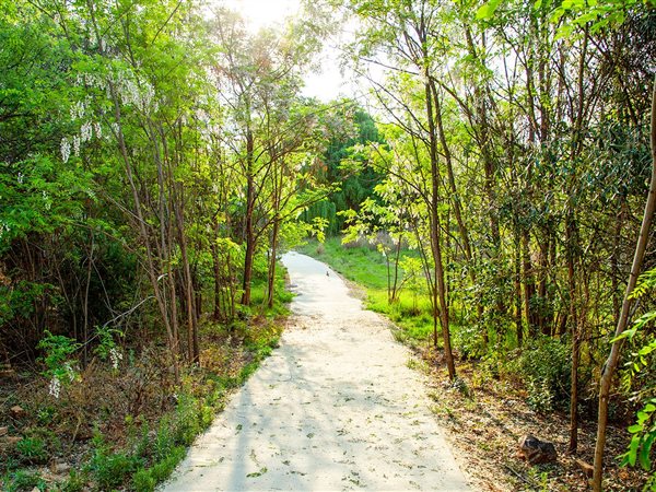 807 m² Land 807 m² Land