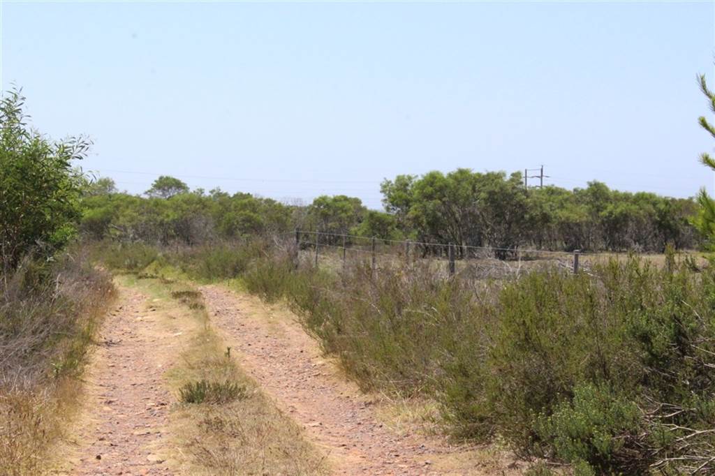 5 ha Land available in St Francis Bay photo number 8