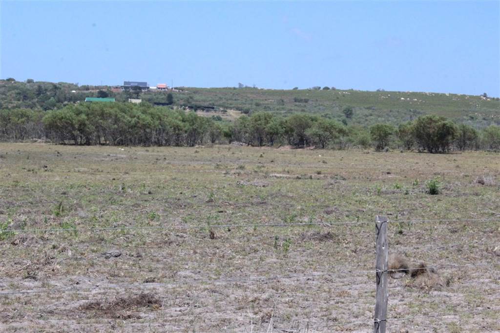 5 ha Land available in St Francis Bay photo number 5