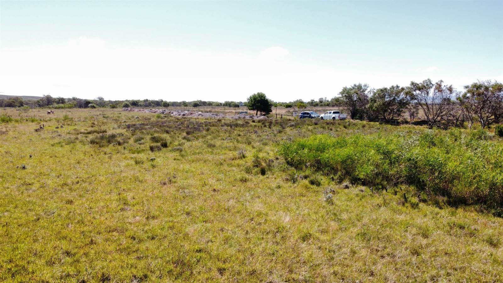 5 ha Land available in St Francis Bay photo number 13