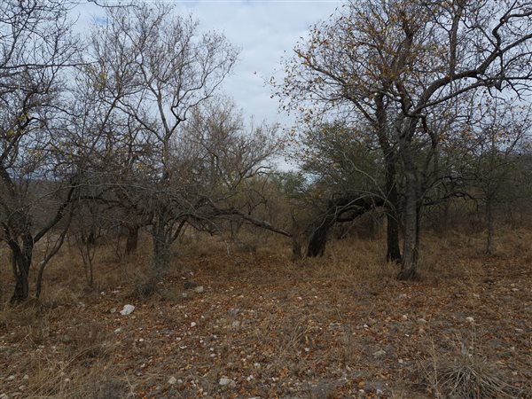 2 400 m² Land 2 400 m² Land