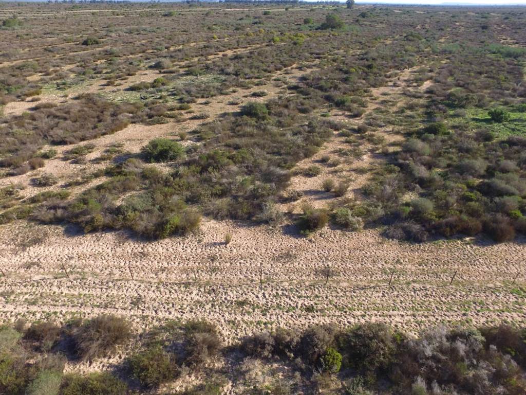 995 ha Land available in Piketberg photo number 9