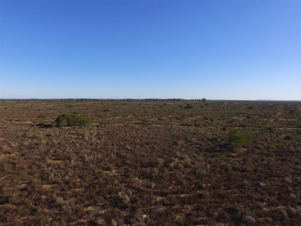 995 ha Land available in Piketberg photo number 6