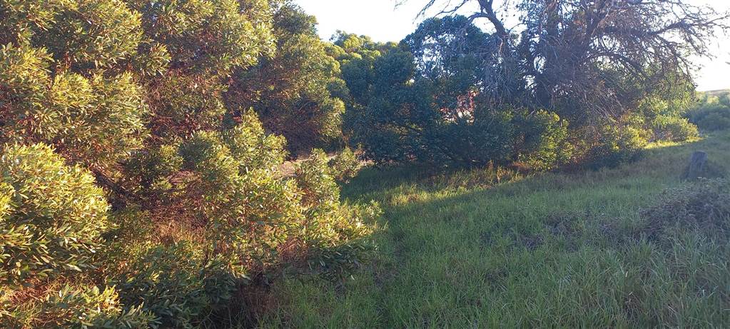 872 ha Land available in Fisherhaven photo number 3