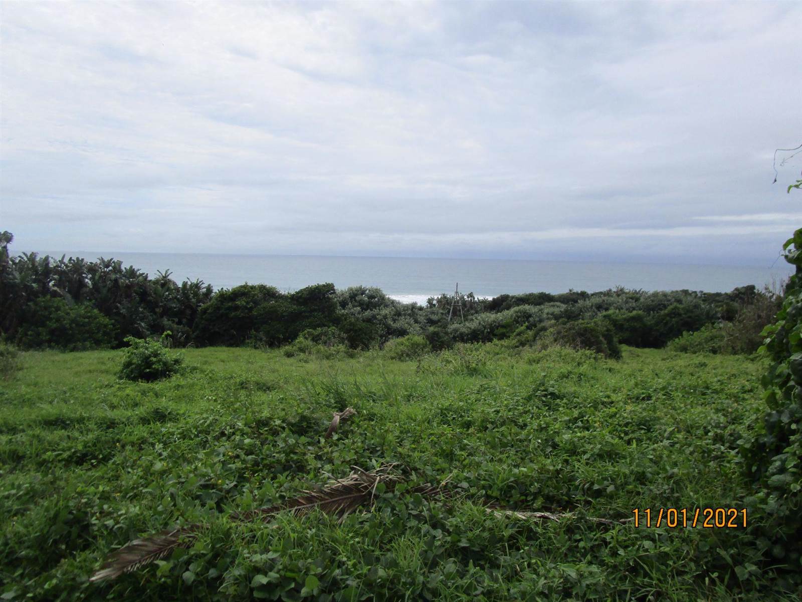 2000 m² Land available in Pennington photo number 1