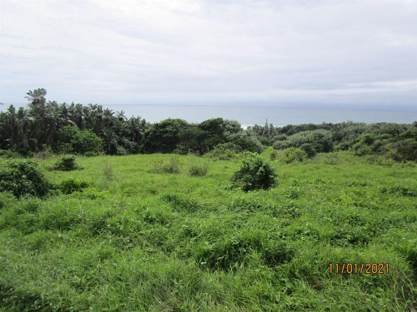 2000 m² Land available in Pennington photo number 16