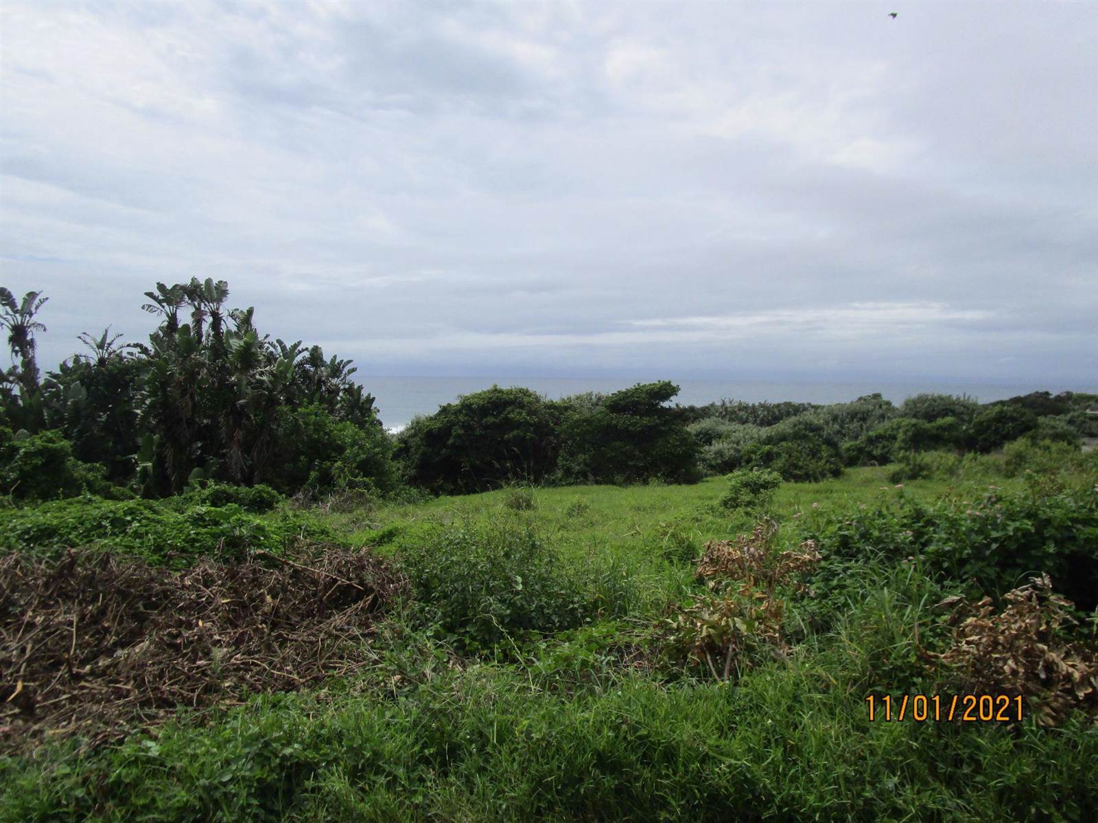 2000 m² Land available in Pennington photo number 7