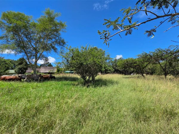88.5 ha Farm 88.5 ha Farm