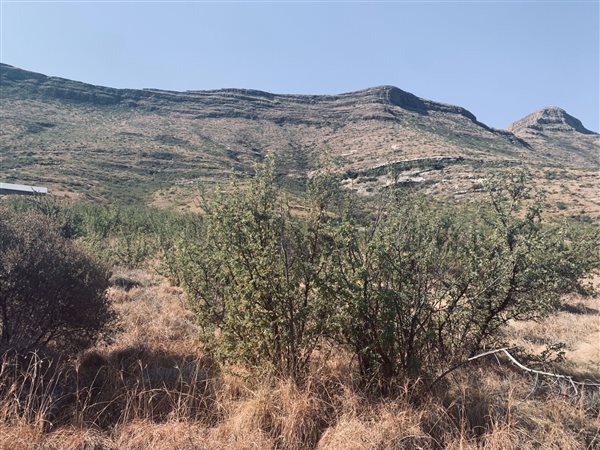 1623 m² Land available in Clarens