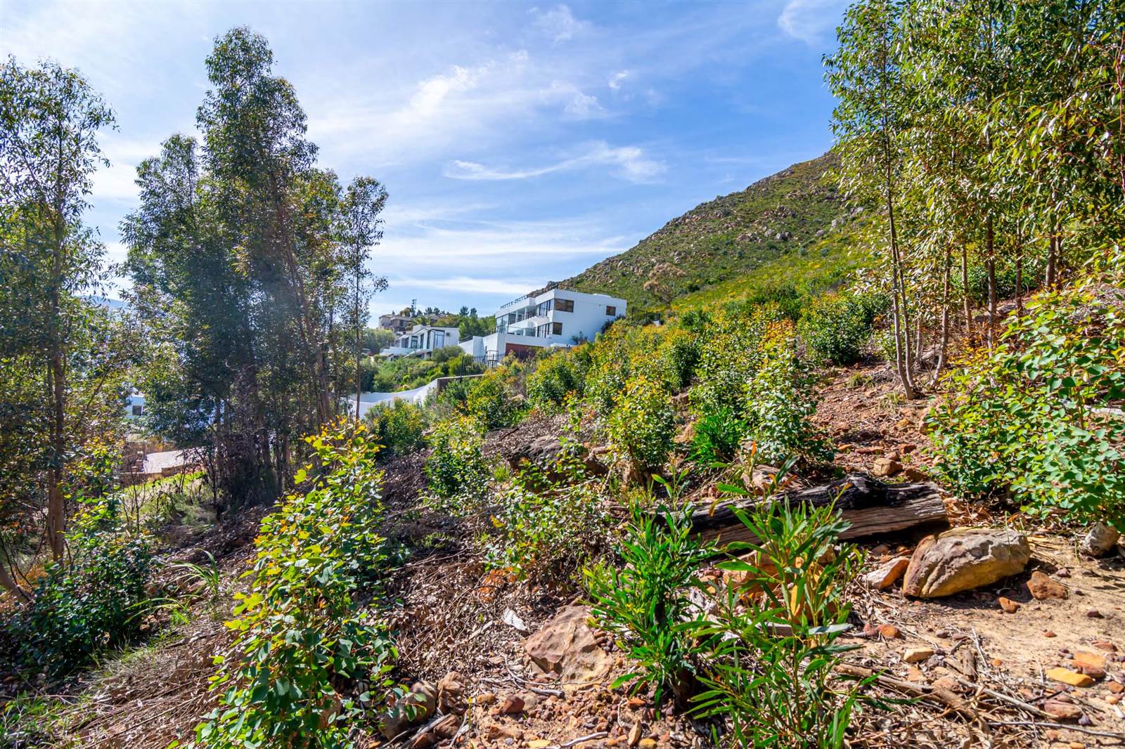 1371 m² Land available in Gordons Bay Central photo number 8