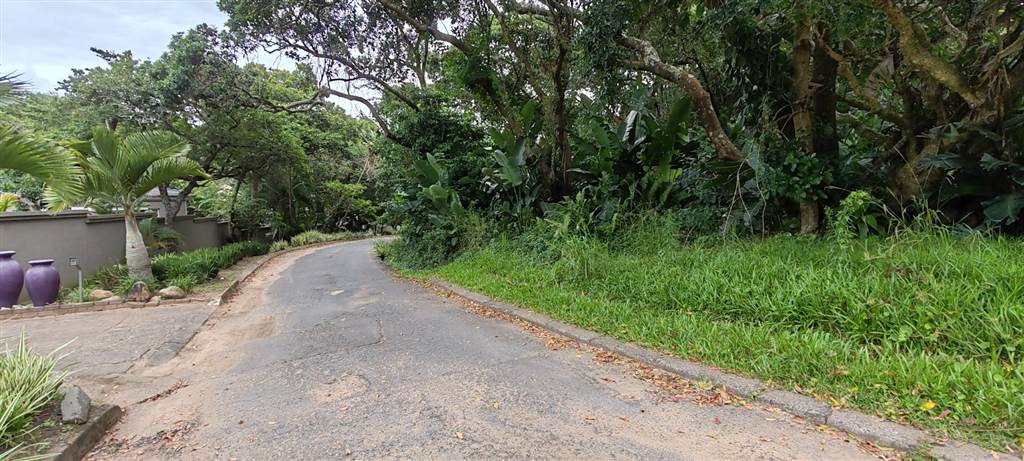 2081 m² Land available in Southbroom photo number 11
