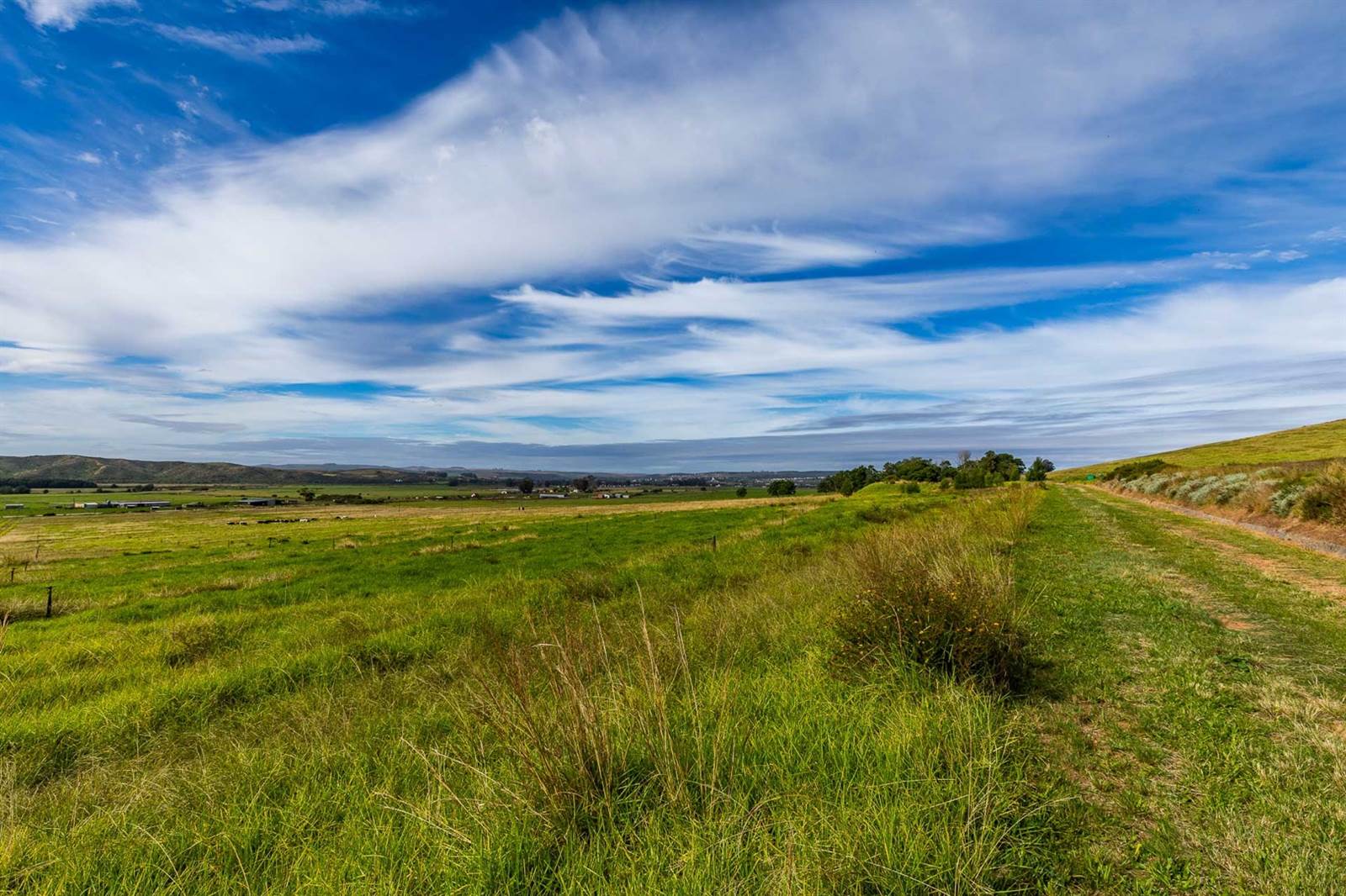 75 ha Farm in Riversdale photo number 25