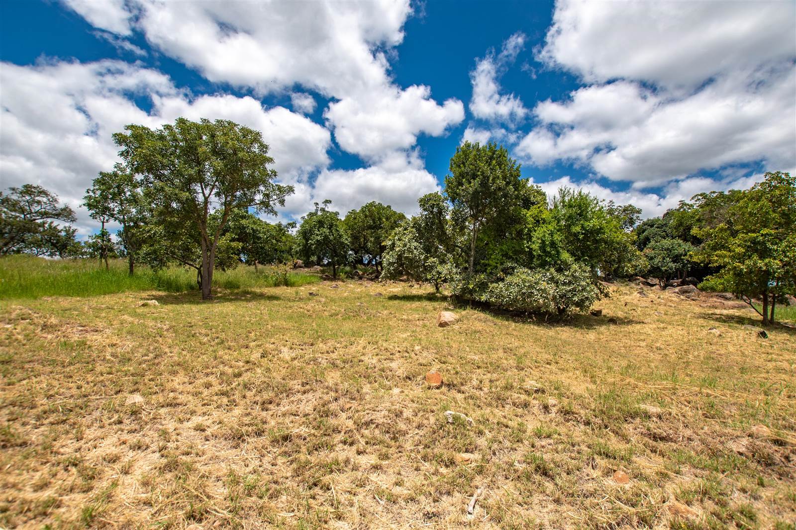 1419 m² Land available in The Rest Nature Estate photo number 3