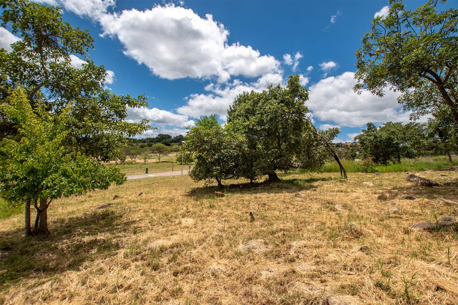 1419 m² Land available in The Rest Nature Estate photo number 5