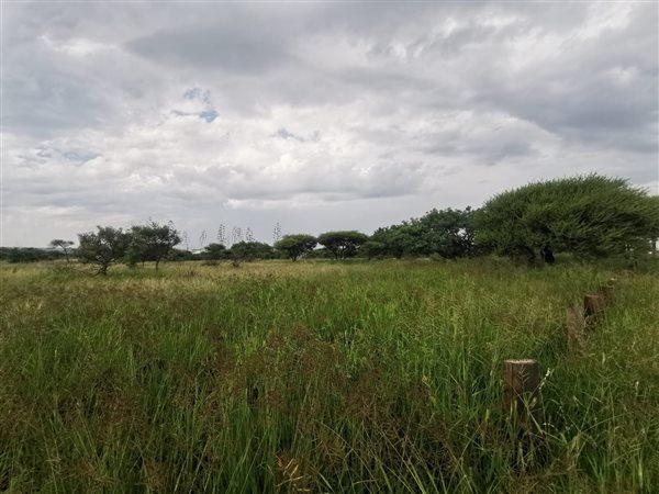 3932 m² Land available in Bendor