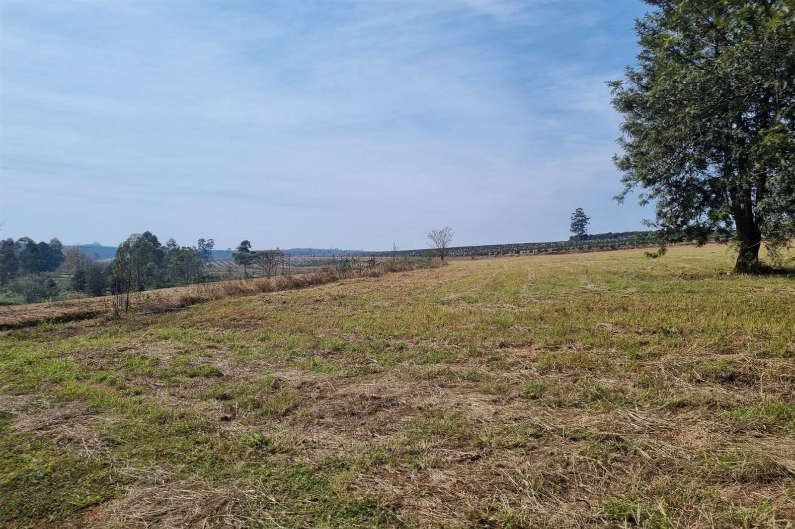 1.8 ha Land available in White River photo number 4
