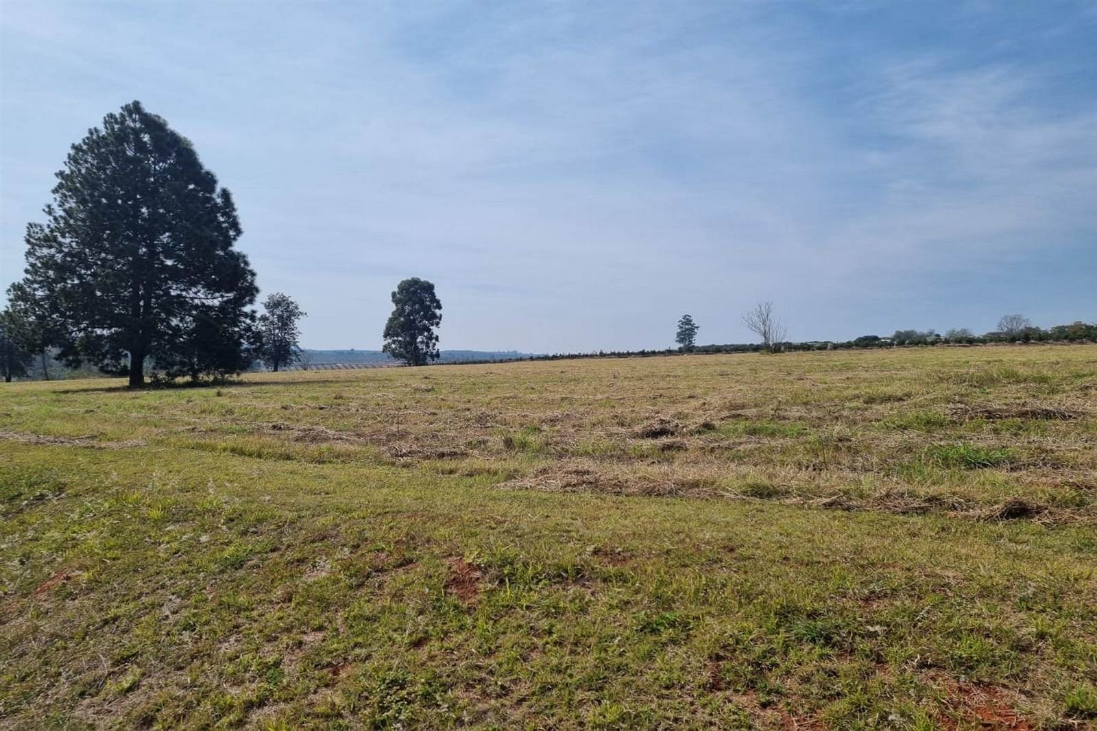1.8 ha Land available in White River photo number 7