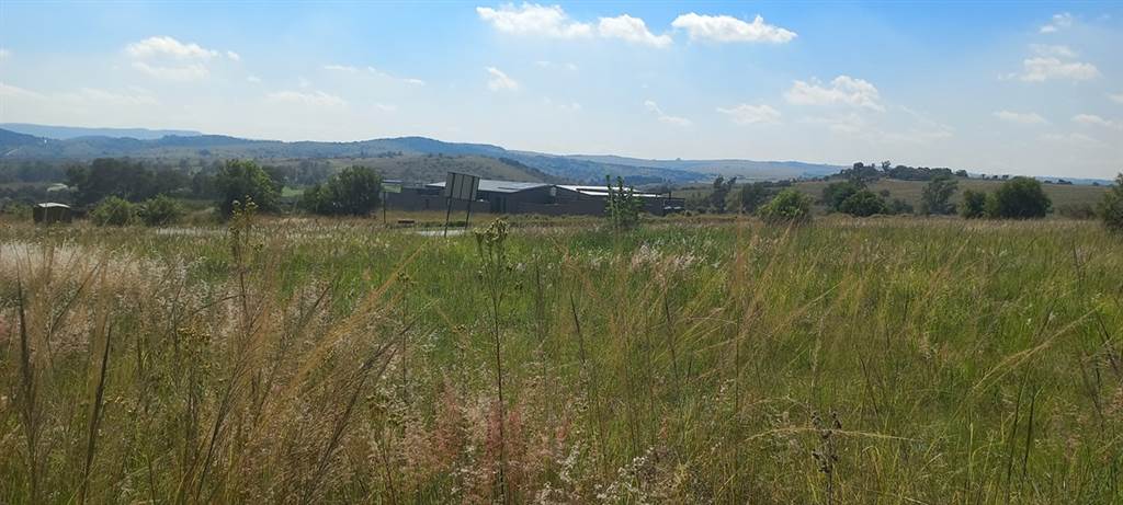 1962 m² Land available in Laezonia photo number 3
