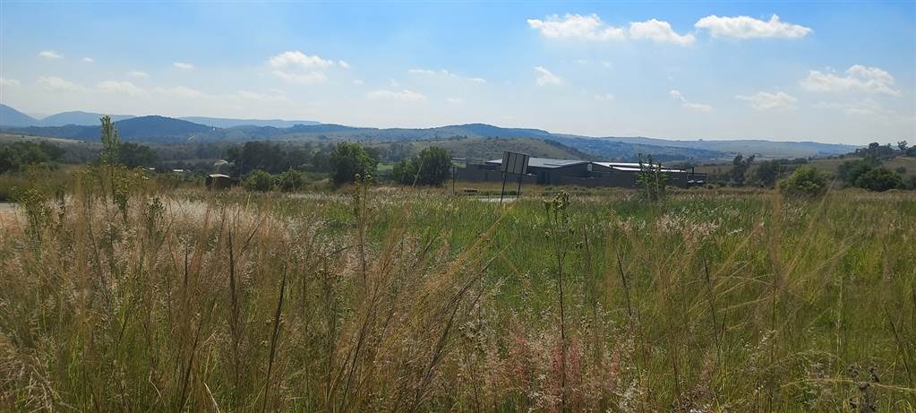 1962 m² Land available in Laezonia photo number 4