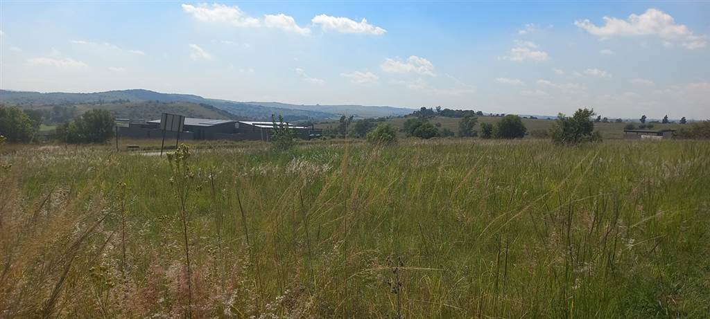 1962 m² Land available in Laezonia photo number 2