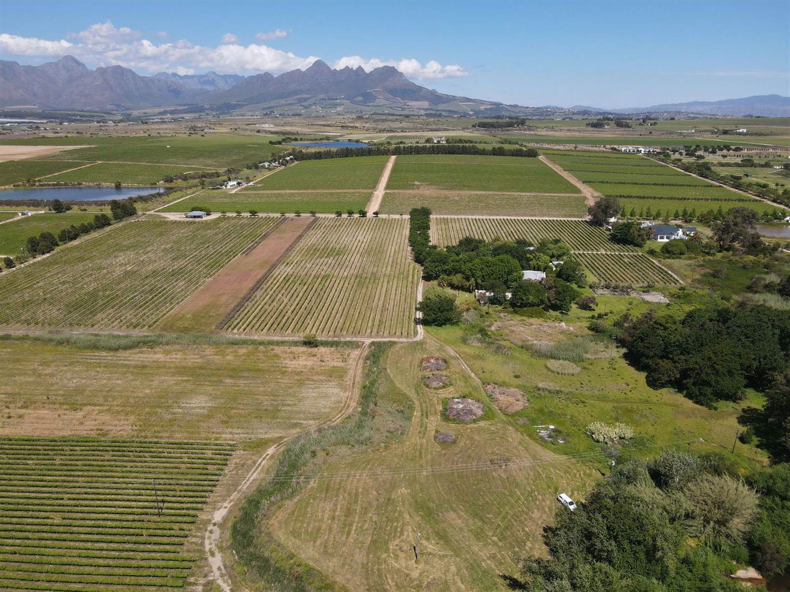 32 ha Farm with House in Stellenbosch Agricultural photo number 3
