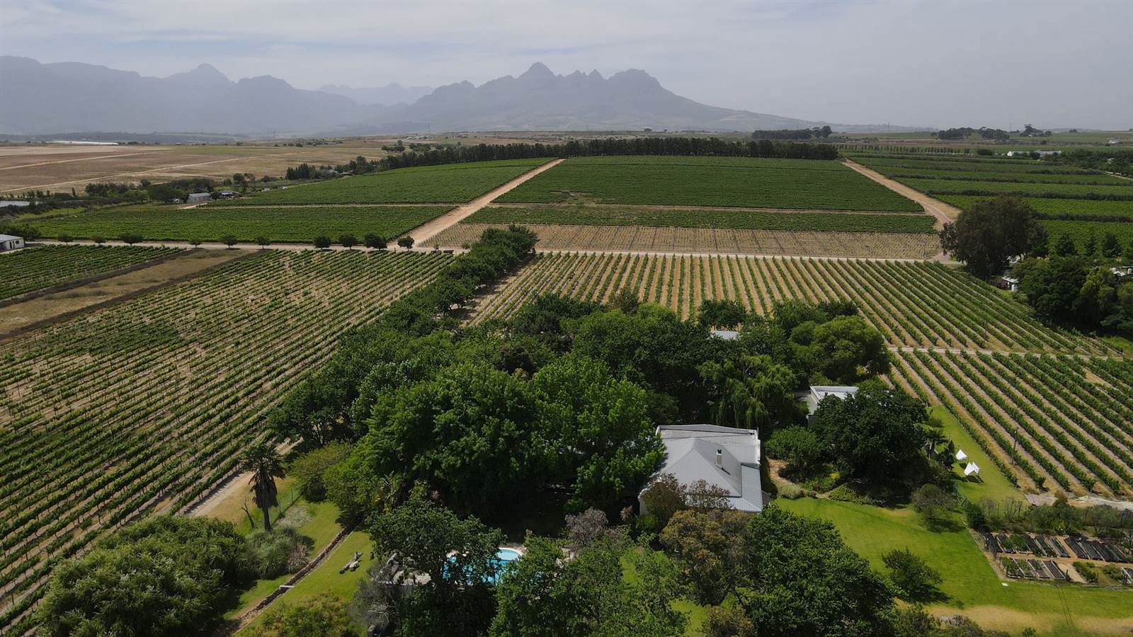 32 ha Farm with House in Stellenbosch Agricultural photo number 4
