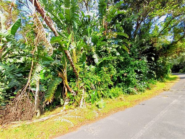 1 251 m² Land