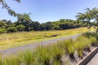 994 m² Land available in Palm Lakes Estate photo number 24