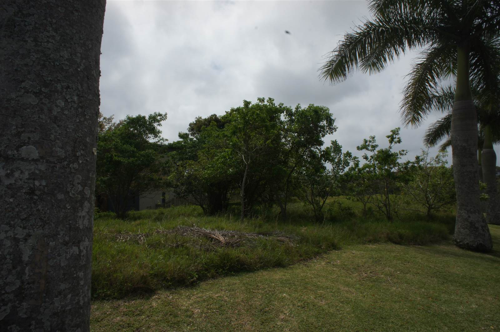 994 m² Land available in Palm Lakes Estate photo number 4