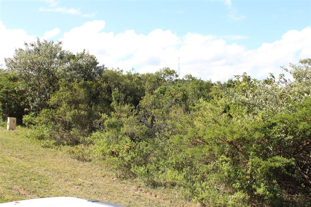 671 m² Land available in Cintsa photo number 13