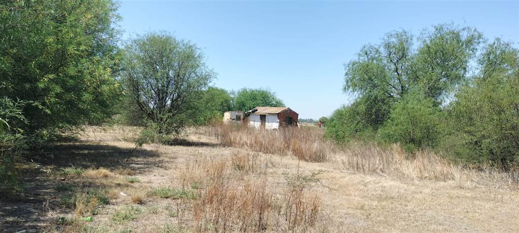 4.3 ha Land available in Bloemfontein Farms photo number 10