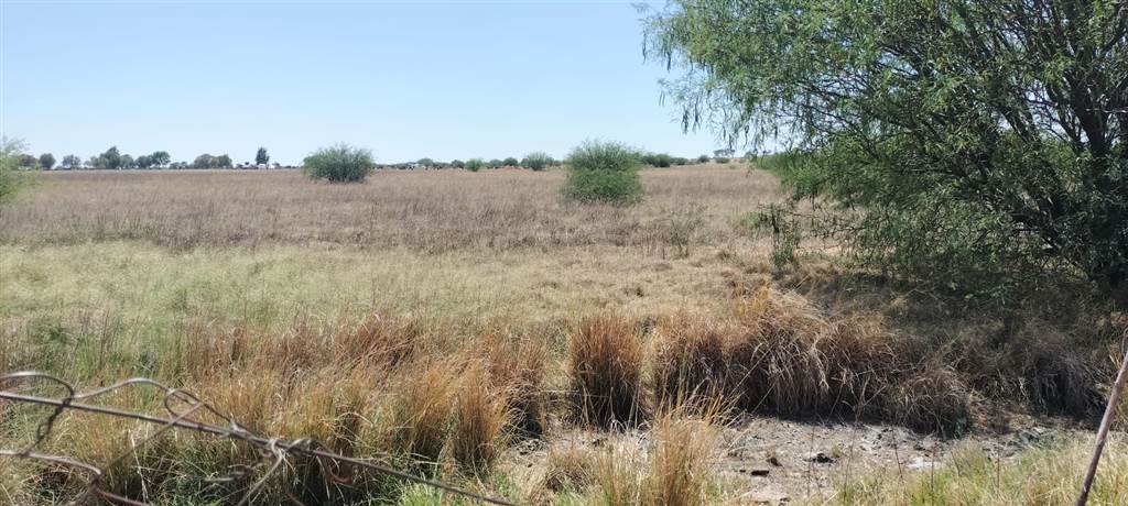 4.3 ha Land available in Bloemfontein Farms photo number 12