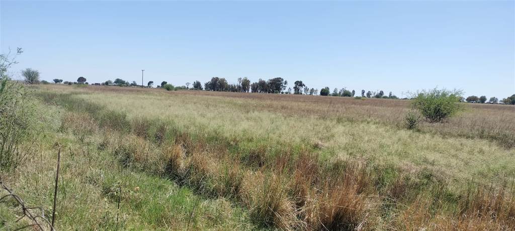 4.3 ha Land available in Bloemfontein Farms photo number 11